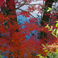 Photos: 秋の色景色