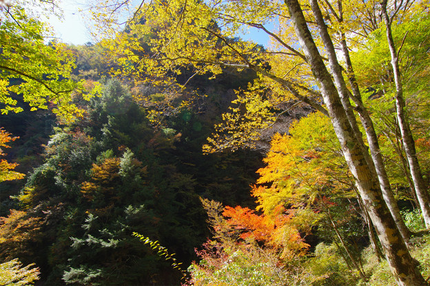 秋の渓谷を行く