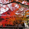 Photos: 大滝山の紅葉