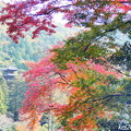 Photos: 大滝山の紅葉