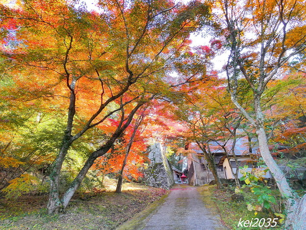 Photos: 龍泉寺の紅葉