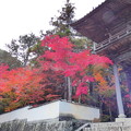 Photos: 宝福寺の紅葉