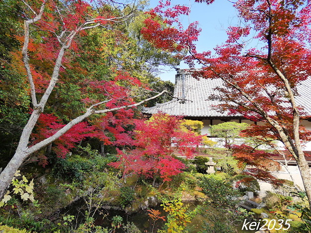 Photos: 宝福寺の紅葉