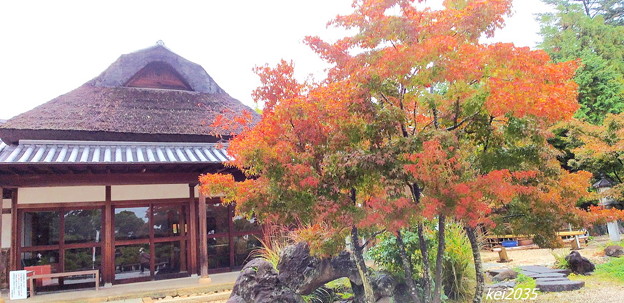 観音寺の紅葉