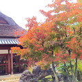 Photos: 観音寺の紅葉