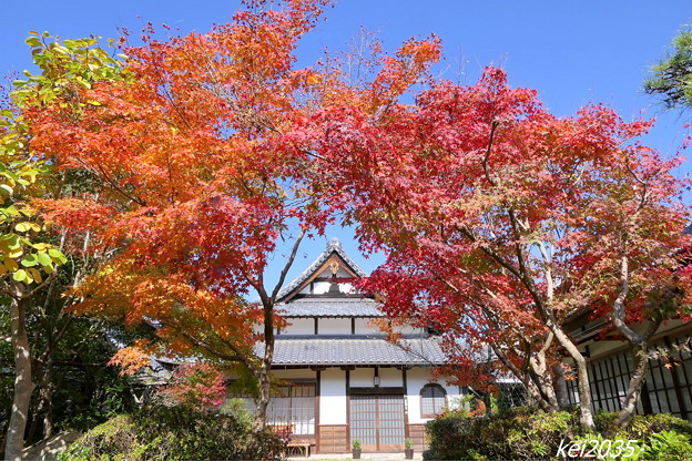 Photos: まきび公園の紅葉