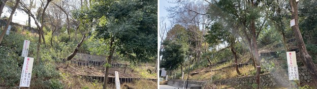 Photos: 志村城（区立志村城山公園。板橋区）空堀跡