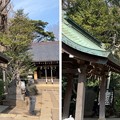 Photos: 志村城（城山熊野神社。板橋区）境内・手水舎