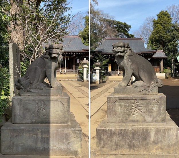 志村城（城山熊野神社。板橋区）狛犬