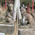 四本木稲荷神社（北区）