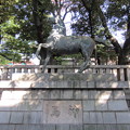 Photos: 富岡八幡宮（江東区）神馬像