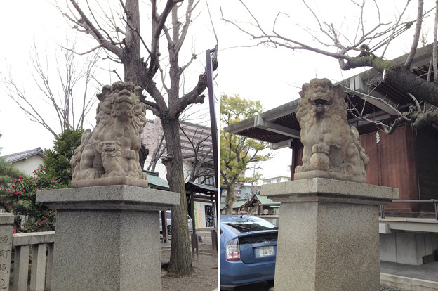 亀戸香取神社（江東区）狛犬
