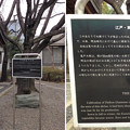 Photos: 亀戸香取神社（江東区）亀戸大根之碑