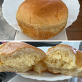 Photos: 岡崎 ごちそうクリームパン
