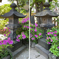 Photos: 藤森稲荷神社（江東区）石灯籠