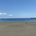 Photos: 片瀬東浜海水浴場（藤沢市）