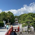 Photos: 鶴岡八幡宮（鎌倉市）