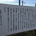 Photos: 供養碑（愛川町）