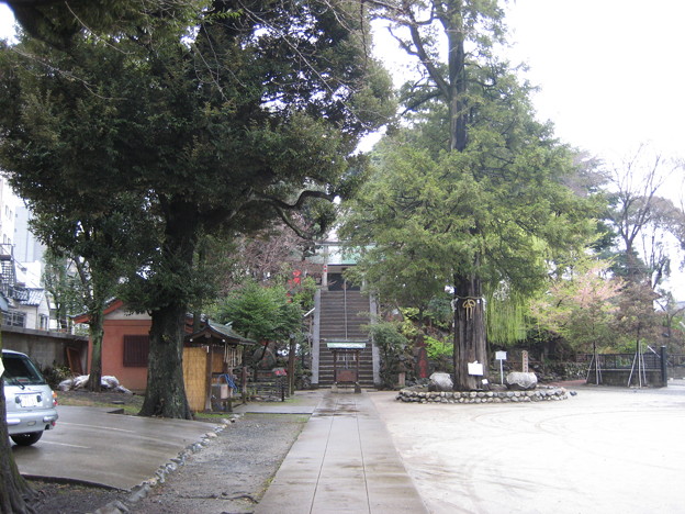 Photos: 駒込富士神社（本駒込5丁目）