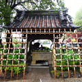 Photos: 白山神社（白山5丁目）手水舎