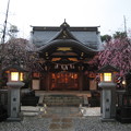 Photos: 北野神社（牛天神。春日1丁目）