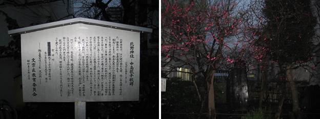Photos: 11.03.01.北野神社（牛天神。春日1丁目）中島歌子歌碑