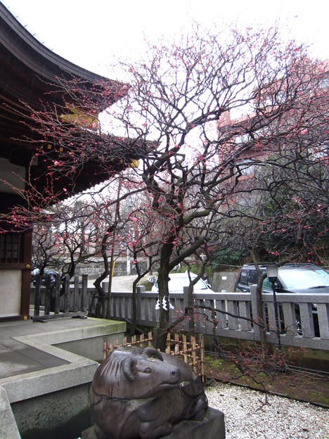 Photos: 12.03.02.北野神社（牛天神。春日1丁目）