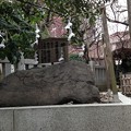 Photos: 13.02.15.北野神社（牛天神。春日1丁目）撫で岩（牛石）