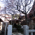 Photos: 13.02.26.北野神社（牛天神。春日1丁目）