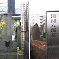Photos: 11.03.01.小石川伝通院（文京区）清河八郎墓