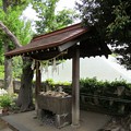 Photos: 正八幡神社（関口2丁目）