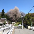 Photos: 13.03.19.駒塚橋南詰より（関口）水神社