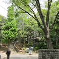 江戸川公園（文京区関口）