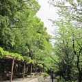 江戸川公園（文京区関口）