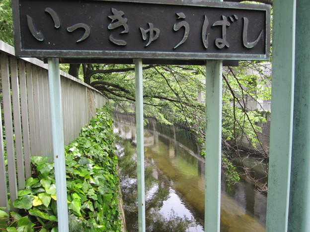 江戸川公園（文京区関口）一休橋