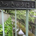 江戸川公園（文京区関口）一休橋