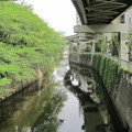 江戸川公園（文京区関口）一休橋より東