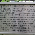 Photos: 11.05.02.江戸川公園（文京区関口）芭蕉所縁について