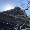 Photos: 東慶寺（鎌倉市）鐘楼