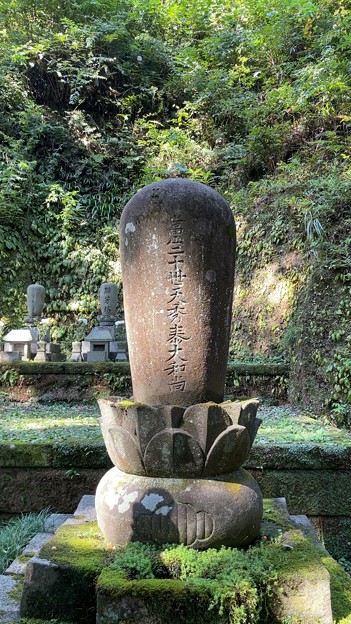 Photos: 東慶寺（鎌倉市）天秀尼墓