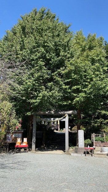 葛原岡神社（鎌倉市）