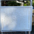 Photos: 腹切り松（横須賀市大矢部）三浦大介腹切の松