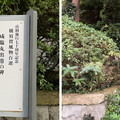 Photos: 愛宕山公園（横須賀市西浦賀）咸臨丸出港の碑