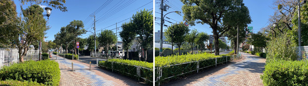 鎌倉街道道標（市立府中第3小前）道標より東西