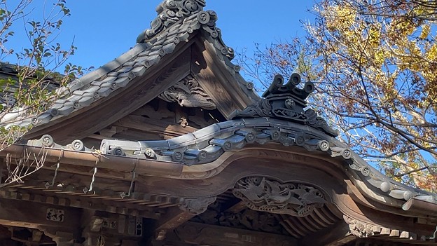 Photos: 亀岡八幡宮（逗子市）拝殿