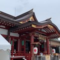 Photos: 稲毛浅間神社（千葉市美浜区）拝殿