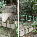 Photos: 稲毛浅間神社（千葉市美浜区）小御嶽社 狛犬