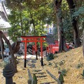 Photos: 慈眼院 澤蔵司稲荷神社（小石川3丁目）霊窟