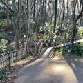 Photos: 信玄居城移転計画地（座間市）座間谷戸山公園