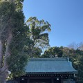 Photos: 寒川神社（神奈川県高座郡）南門